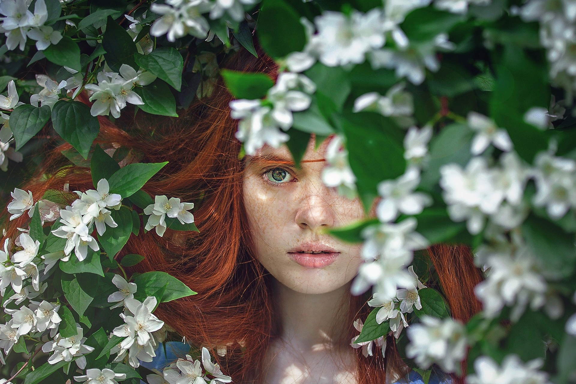 Cosmetica