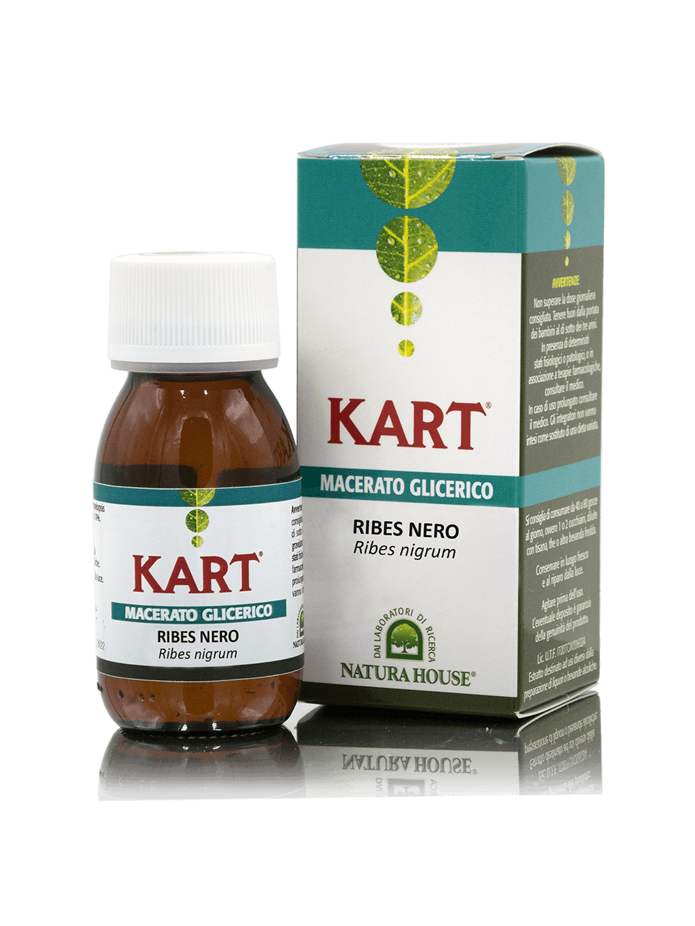 Macerato Glicerinato RIBES NERO - Ribes nigrum (gemme fresche) 40°