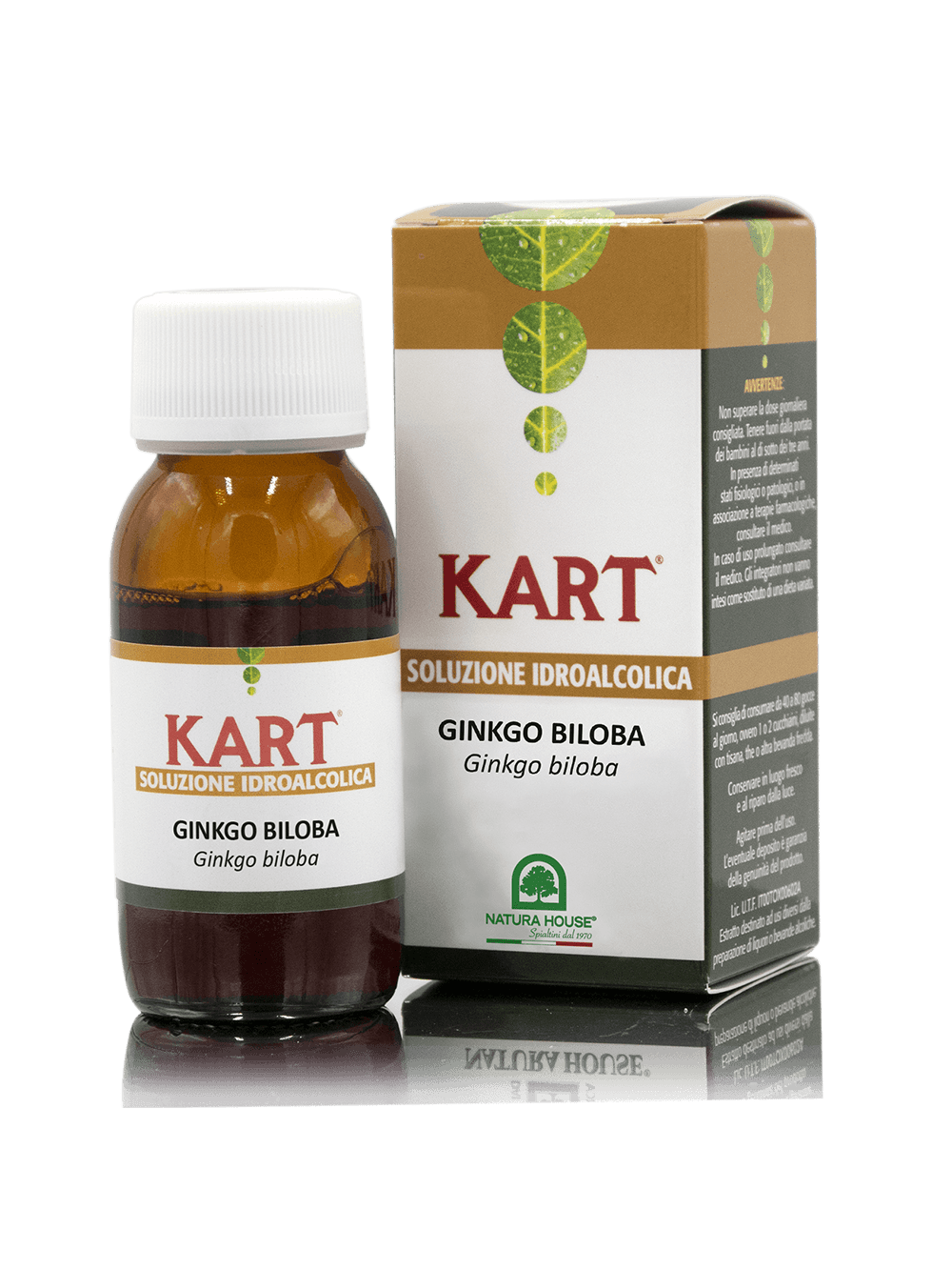 GINKGO BILOBA Hydroalcoholic Solution - Ginkgo biloba (leaves) 65°